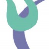 Excelarate Physical Therapy