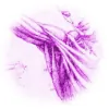 Pain Resolution Institute